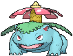 Venusaur XY female