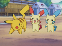 Pokemon Advanced Challenge Azurilland Wiki Pokemon Advanced Challenge Azurilland Wiki