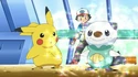 Oshawott wants to battle