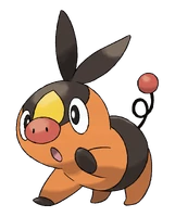 498Tepig