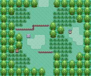 Hoenn Route 101 Azurilland Wiki