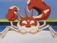 Round One Begin Pokemon S01e77 Tvmaze