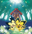 Spiky-eared Pichu playing with Pikachu-colored Pichu in Ilex Forest