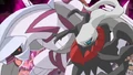 The rise of Darkrai.