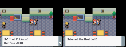 Diamond-Pearl Oreburgh City 10