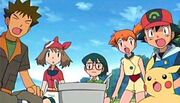 Ash, misty, brock, max, and may