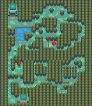 Ilex Forest map and Headbutt man Location