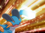 Swampert f punch