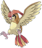 017Pidgeotto.png