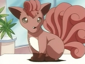 Brock Vulpix