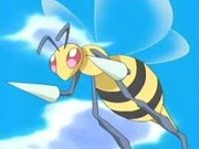 Casey's Beedrill from the anime