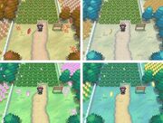 Seasons.jpg