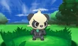 Pancham in battle, possibly using the new Parting Shot move
