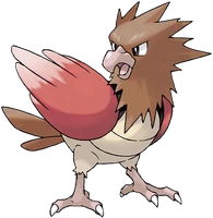 021Spearow