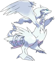643Reshiram