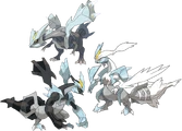 #646 Kyurem Dragon/Ice