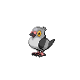 Pidove BW Sprite