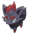 #570 Zorua Dark