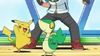 Snivy after winning a battle
