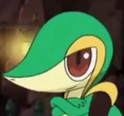 Snivy in the new Opening Rivals Destinies