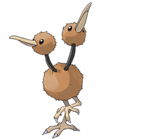 Doduo