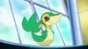 Finally, Snivy, a Grass Type.