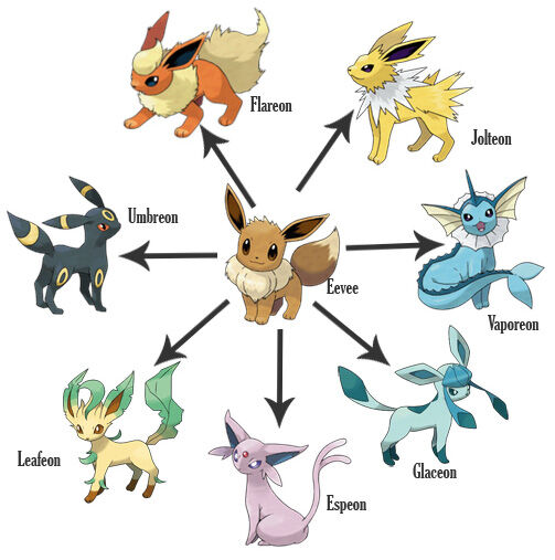 Image: Pokemon Fire Red Evolution Chart Awesome Eevee Evolution