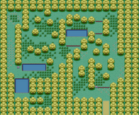 Map of berry Forest