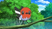 Ash Fletchling