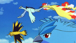 Ash with lugia and the Legendary Birds