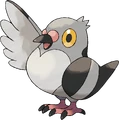 #519 Pidove Normal/Flying