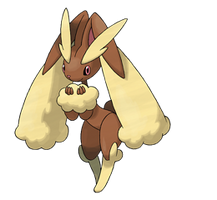 428Lopunny