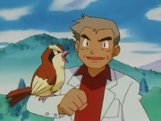 Oak's Pidgey