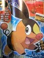 Tepig