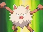 Butch's Primeape