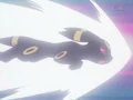 Umbreon in the anime 2