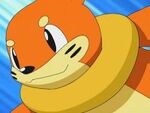 Ep545 Ash's Buizel