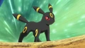 Umbreon in the anime