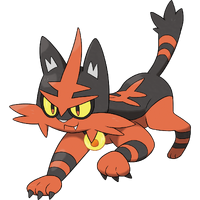 726Torracat