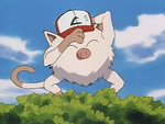 Primeape as a Mankey teasing Ash.