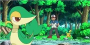 Snivy's debut appearance.
