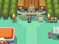 What do you think of my map? I was based in the Johto safari zone