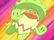 Brock Ludicolo
