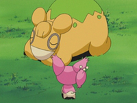 Pokemon Advanced Challenge Azurilland Wiki Pokemon Advanced Challenge Azurilland Wiki