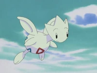 Misty's Togetic