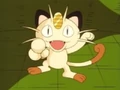 Meowth Season 1