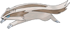 264Linoone.png