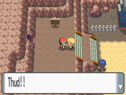 Diamond-Pearl Oreburgh City 9