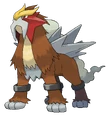 #244 Entei Fire