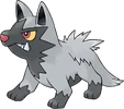 261Poochyena